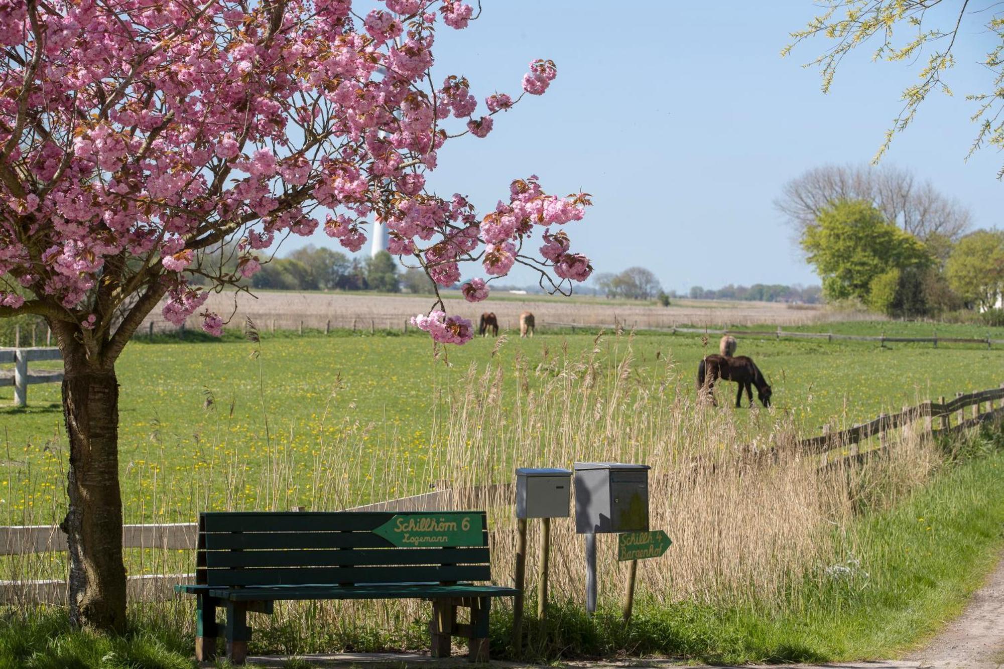 Fischerhaeuschen Am Kurpark Neuharlingersiel Ngoại thất bức ảnh